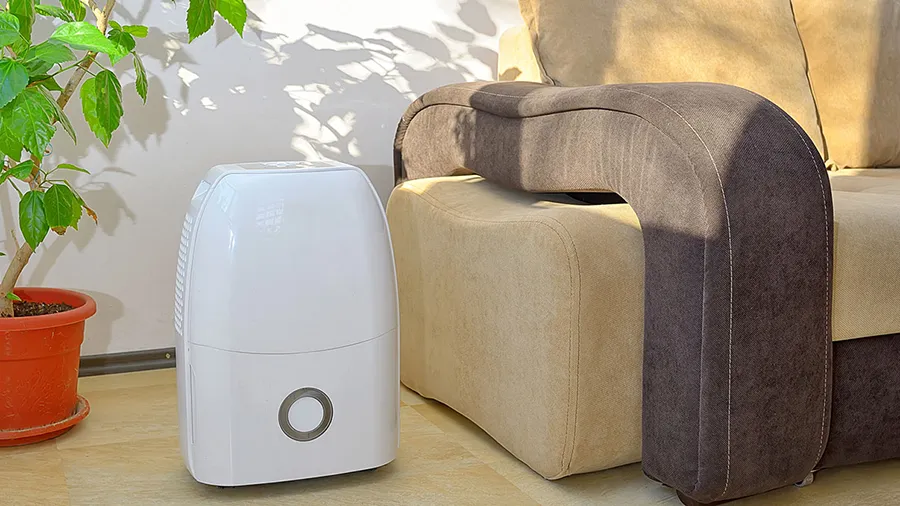Dehumidifier By Couch