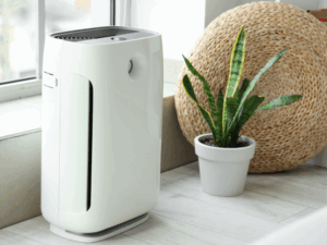 Air Cleaners And Purifiers in Alexandria, VA